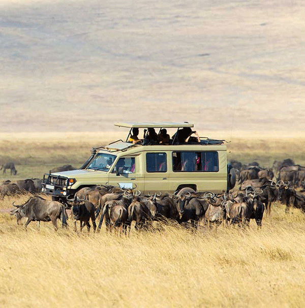 Serengeti-National-Park-2